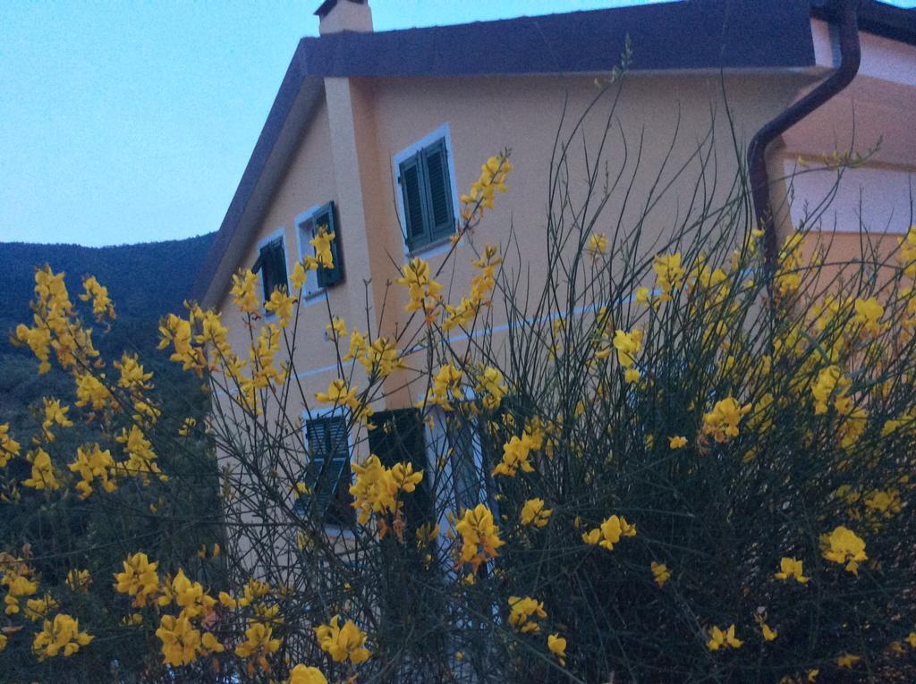 Apartament Ca Di Giaco Moneglia Zewnętrze zdjęcie